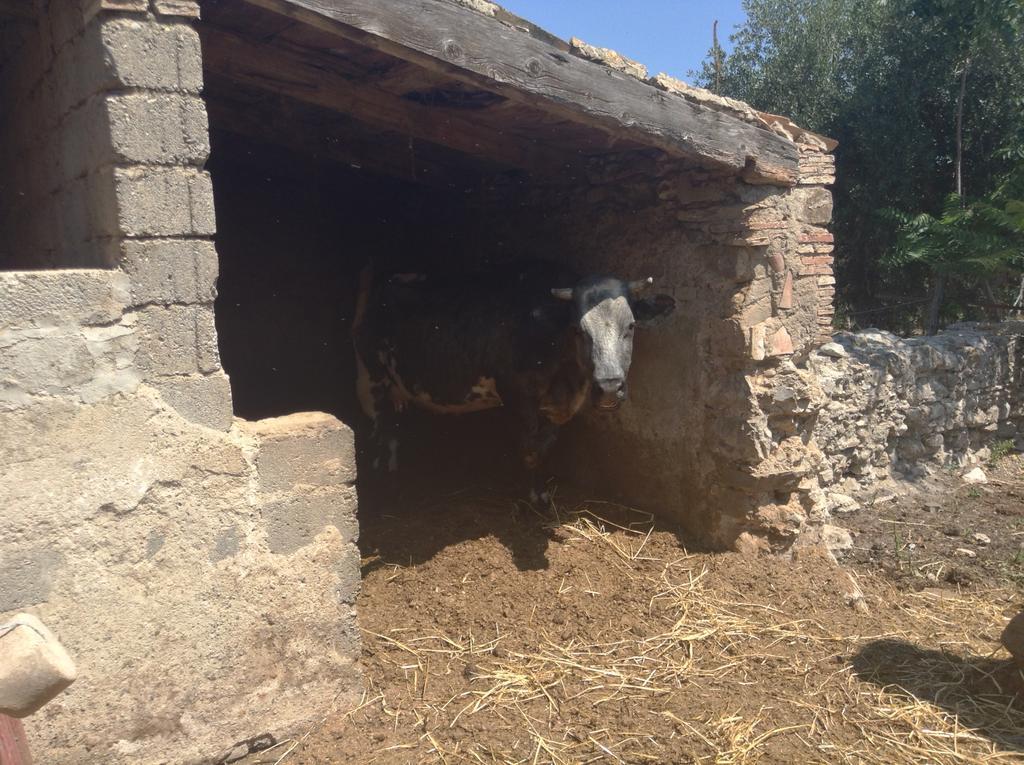 הוילה Cerchiara di Calabria Antico Frantoio מראה חיצוני תמונה